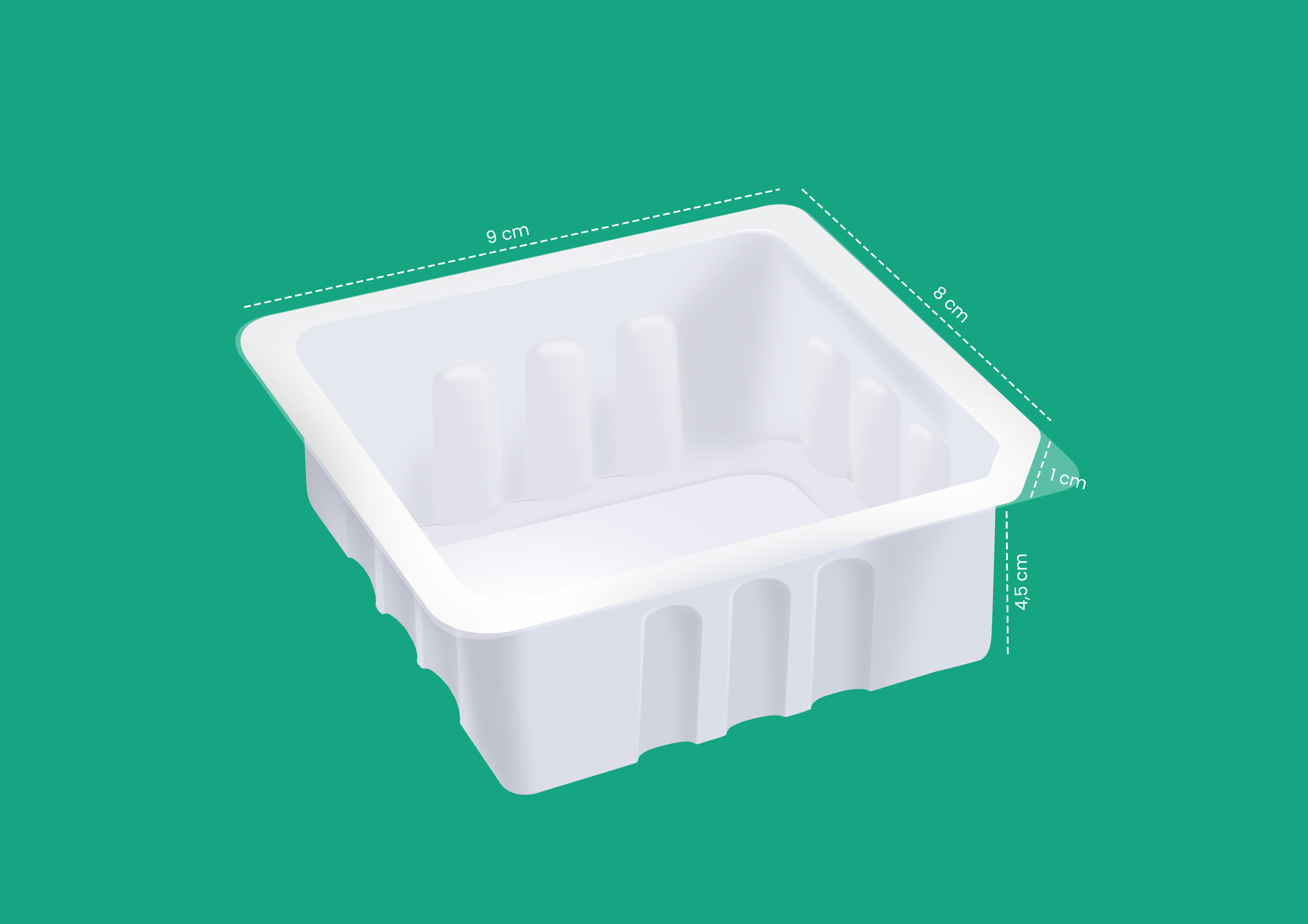 Tray Tahu